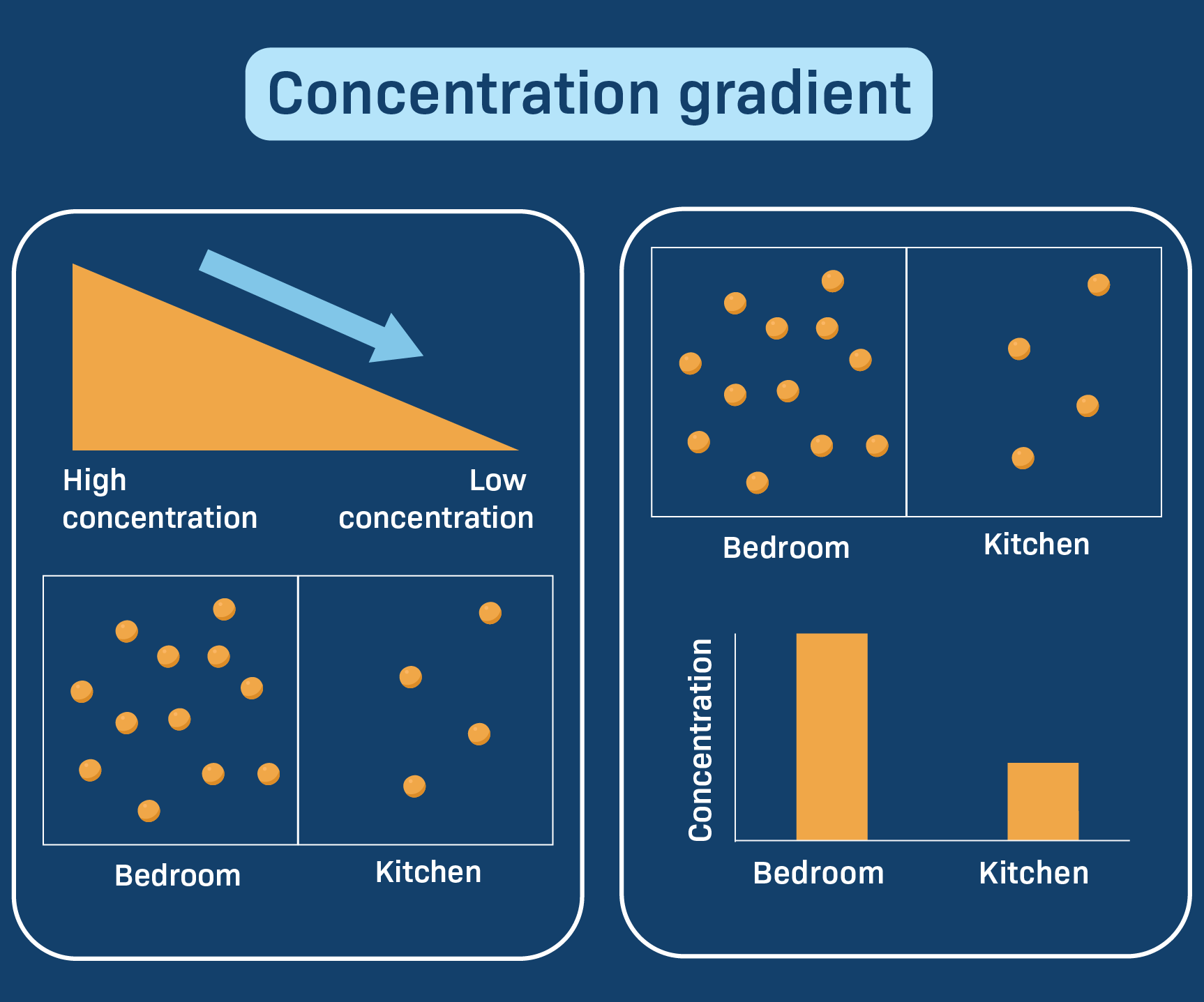 Concentration Gradients